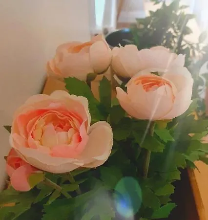 Riverside Marina Apartment *