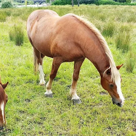 Riverside Marina Apartamento Lanesborough