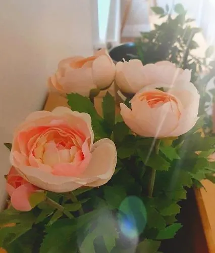 Riverside Marina Appartement *