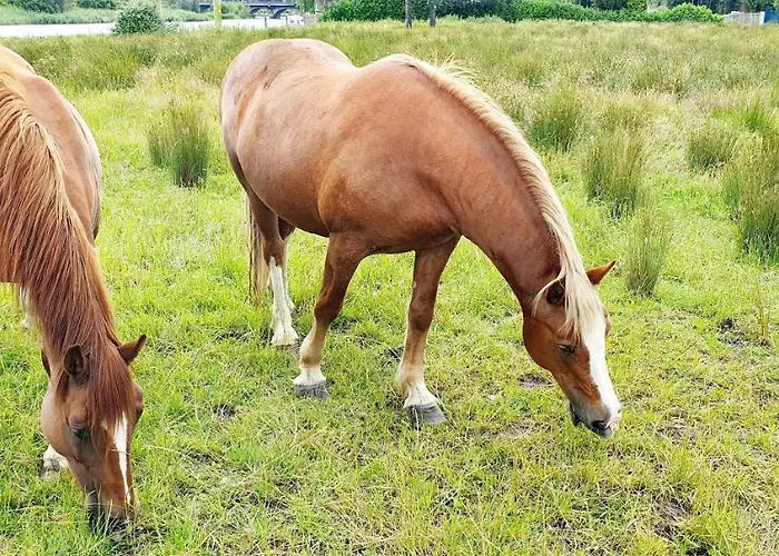 Riverside Marina Apartman Lanesborough